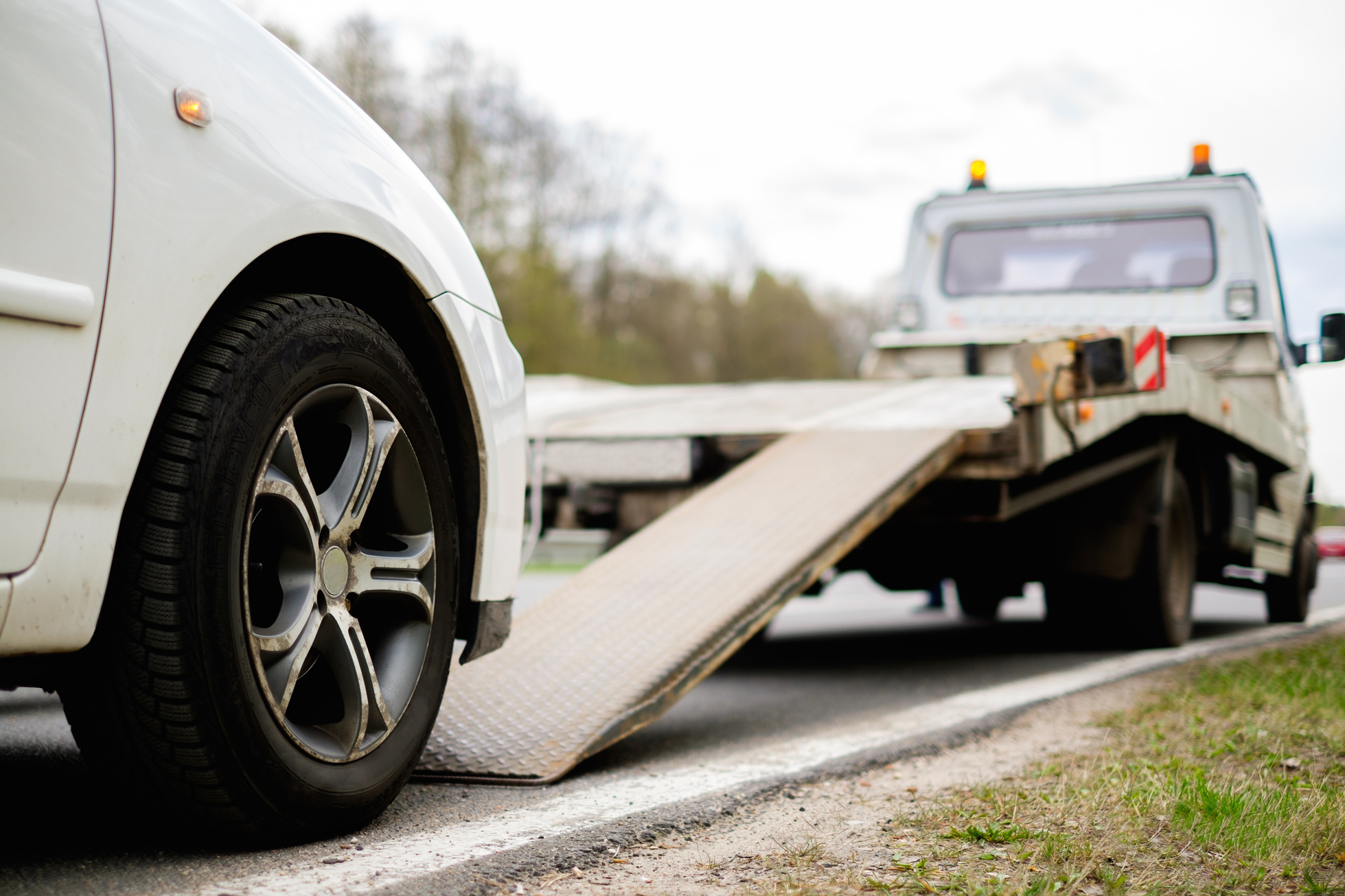 Autodemolizioni
Vendita ricambi usati
Ricambi usati auto
Demolizione veicoli
Vendita motori usati
Parti carrozzeria usate
Rottamazione
Rottamazione veicoli incidentati
Sospensioni usate auto
Freni usati auto
Paraurti usati auto
Trasmissioni usate